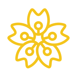 Abonnements 100% officiels et fiables​